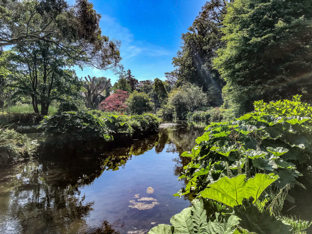 Mount Usher Gardens Ireland