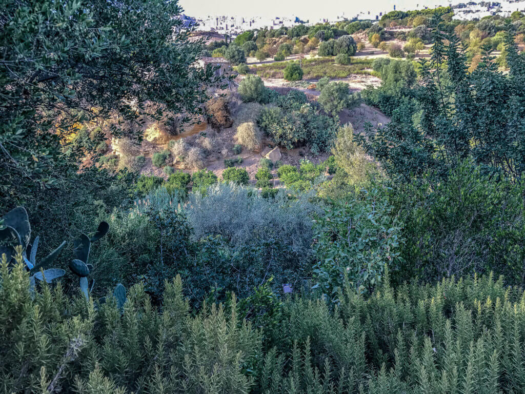 Kolymbethra, The Valley of the Temples, Agrigento